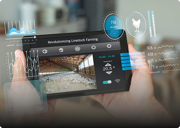 가축 사육 혁신을 위한 정밀 관리