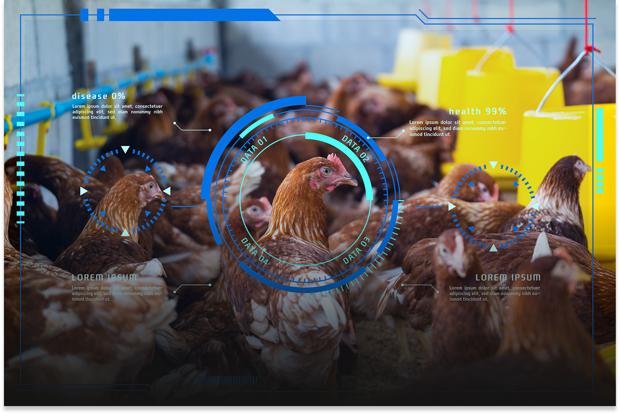 인공지능 분석 시스템